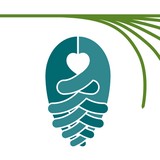 Catwba Valley - Insurance in Hickory