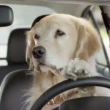 Saturn Retail Of Charlotte LLC - Used Car Dealers in Charlotte