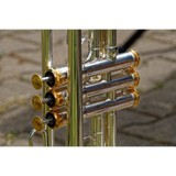 Varno Musical Instrument - Other in Leland