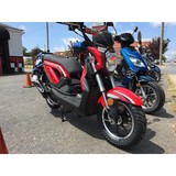 Charlotte Scooter Shop Inc - Grocery/Supermarket in Charlotte