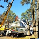 Arbor Lawn Inc - Landscape Architects in Raleigh
