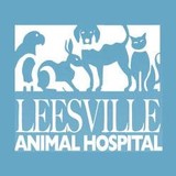 Leesville Animal Hospital - Veterinarians/Vets in Raleigh