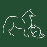 Kovacevich Heather DVM - Veterinarians/Vets in Charlotte