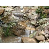 Hoag Landscape - Landscaping in Belmont