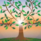 Power Of Life Chiropractic - Chiropractors in Concord