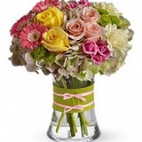 Wilmont Florist - Florists in Charlotte