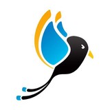 Capstone Design Group L L C - Web Design & Development in Raleigh