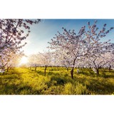 Zarzar Psychiatric Assoc Pllc - Psychologist & Counsellor in Raleigh
