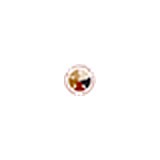 Therapeutic Alternatives - Other in Randleman