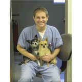 Hanover Regional Animal Hosp - Animal Hospitals in Wilmington