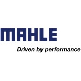 Mahle Motorsports Inc - Other in Fletcher