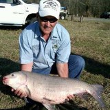 Midway Lakes II - Other in Kings Mountain