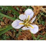 Bobby J Ward - Landscape Architects in Raleigh