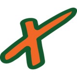 X-Team Termite & Pest Control - Pest Control in New Bern