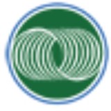 Focus Marketing - Marketing in Asheville