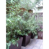 Artisan Custom Landscapes - Landscape Architects in Wilmington