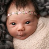 Nicola Lane Photography - Other in Holly Springs