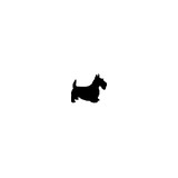 Black Scottie Pet Service - Pet Services in Fayetteville