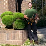 CCF Tree Services - Tree Services in Raleigh