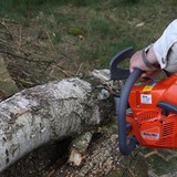 Jerrys Tree & Stump Service - Tree Services in Durham