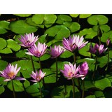 Aa Self Storage - Self Storage in Oxford