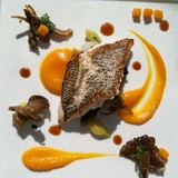 Oakleaf - Other in Pittsboro