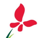 Freeman Landscape Inc - Landscaping in Wilmington