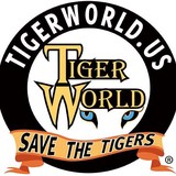 Tiger World, Inc - Other in Rockwell