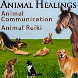 Animal Healings - Pet Services in Durham