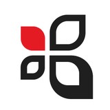 Encite Inc - Web Design & Development in Charlotte