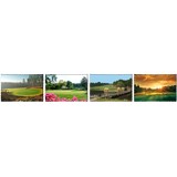 Ringthepines - Other in Southern Pines