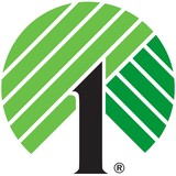 Dollar Tree - Other in Reidsville