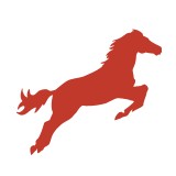 Cowboy Up Fence CO - Fences & Gates in Wilmington