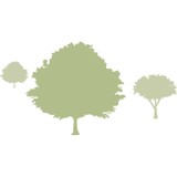 Wrights Nursery & Landscaping - Other in Clemmons