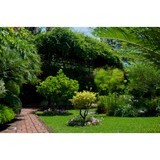 Lemus Landscaping - Landscaping in Sanford