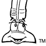 Carpet Dry Clean Inc - Carpet Cleaning in Raleigh