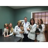 Sims Claudia DVM - Animal Hospitals in Greensboro