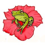 San Juan Cafe - Cafes in Wilmington