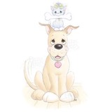 Animal Hospital At Brier Creek - Veterinarians/Vets in Raleigh