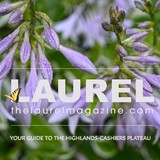 The Laurel Magazine - Other in Highlands