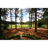 Lincione Scott - Other in Southern Pines