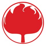 Burning Oak Studios - Video/Film Production in Raleigh