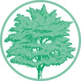 Cary Family Dental - Dentists in Cary