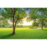 Queen City Lawn & Landscaping - Landscaping in Huntersville