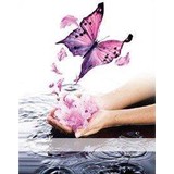 Ambiance Naturals - Manufacturer in Denver