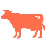 Tayloe Grey Marketing - Marketing in Wilmington