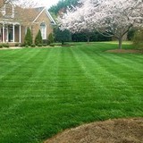 Sunbelt Lawn Care - Lawn Services in Matthews