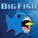 Big Fish DPI - Graphic Design in Charlotte