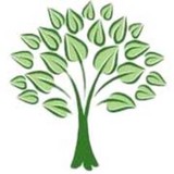 North Raleigh Tree Service - Tree Services in Raleigh
