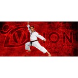 Vision Martial Arts - Martial Arts in Raleigh